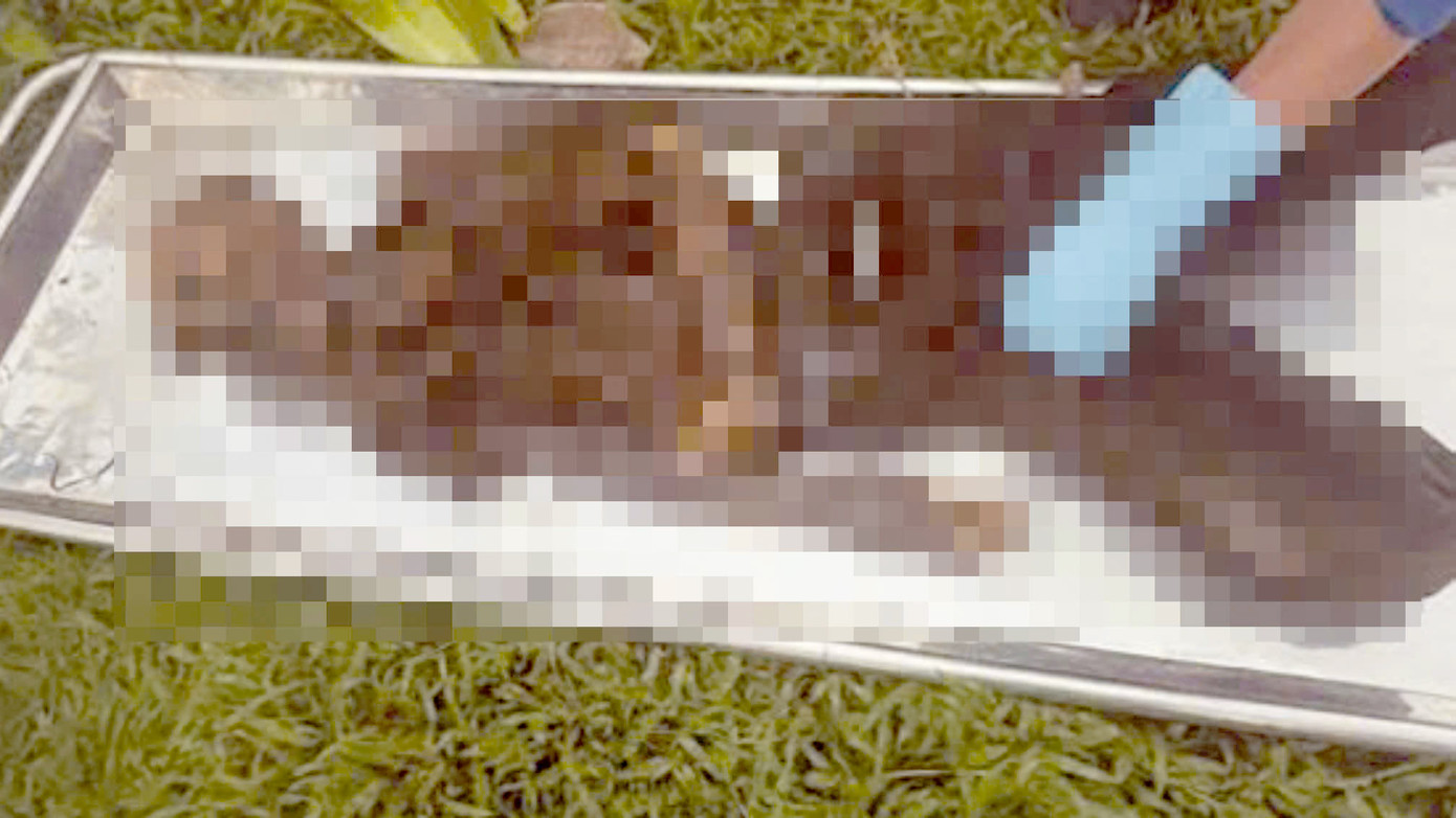 Hiện trường vào thời điểm phát hiện vụ việc. Ảnh: C.A.