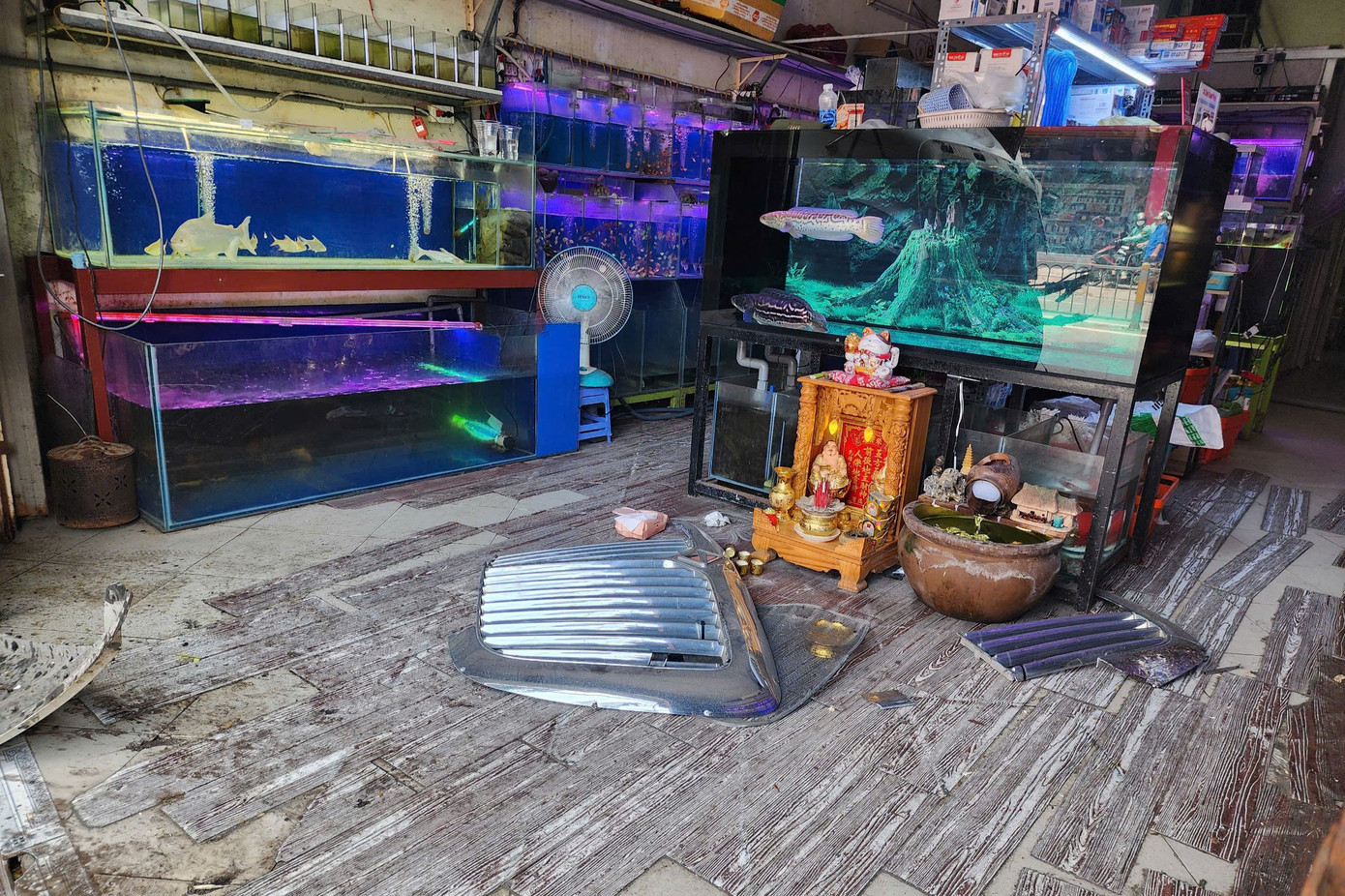 Mảnh vỡ của xe đầu kéo văng vào trong cửa hàng cá cảnh. Ảnh: Đ.V. Mảnh vỡ của xe đầu kéo văng vào trong cửa hàng cá cảnh. Ảnh: Đ.V.