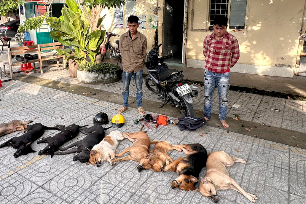 Đối tượng Đặng Phương Nam và Đỗ Quốc Hậu cùng tang vật tại cơ quan công an. Ảnh: H.T. Đối tượng Đặng Phương Nam và Đỗ Quốc Hậu cùng tang vật tại cơ quan công an. Ảnh: H.T.