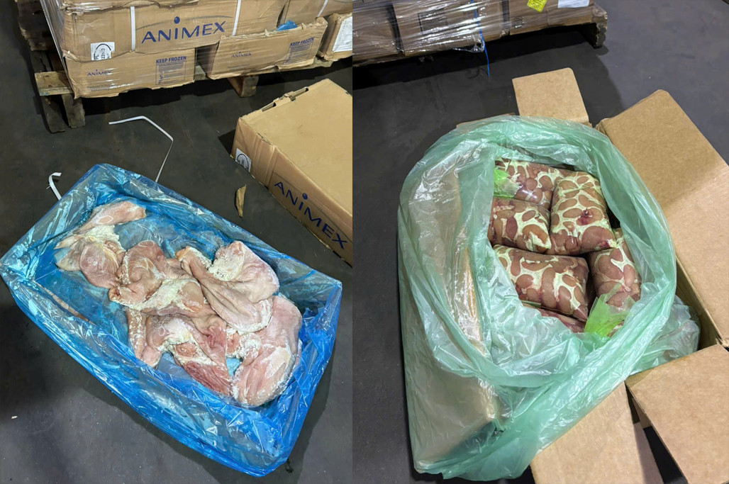 Thịt động vật không có hóa đơn, chứng từ chứng minh nguồn gốc, xuất xứ. Ảnh: Công an cung cấp.