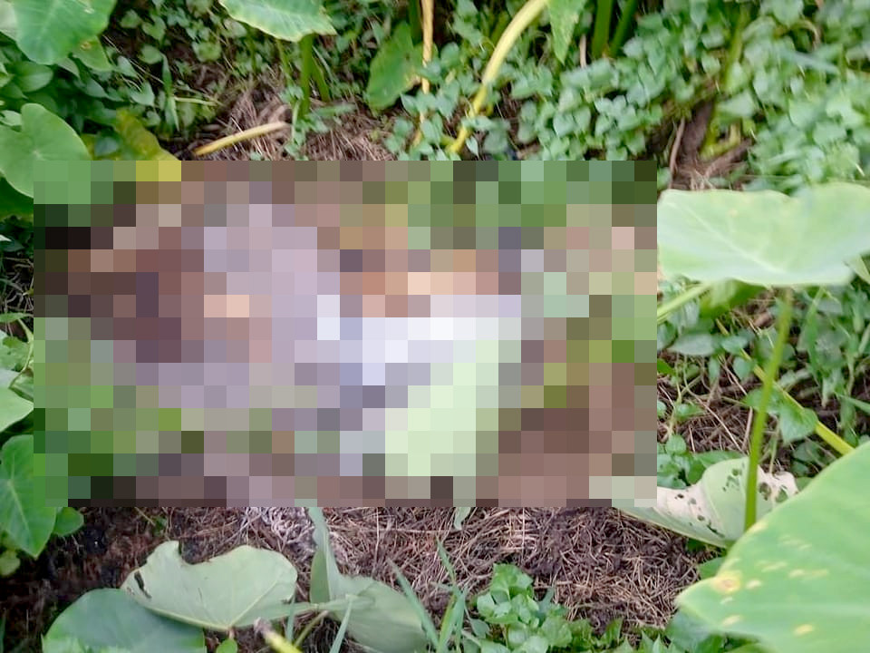 Bộ xương được phát hiện trong lùm cây (Ảnh: A.X.). Bộ xương được phát hiện trong lùm cây (Ảnh: A.X.).