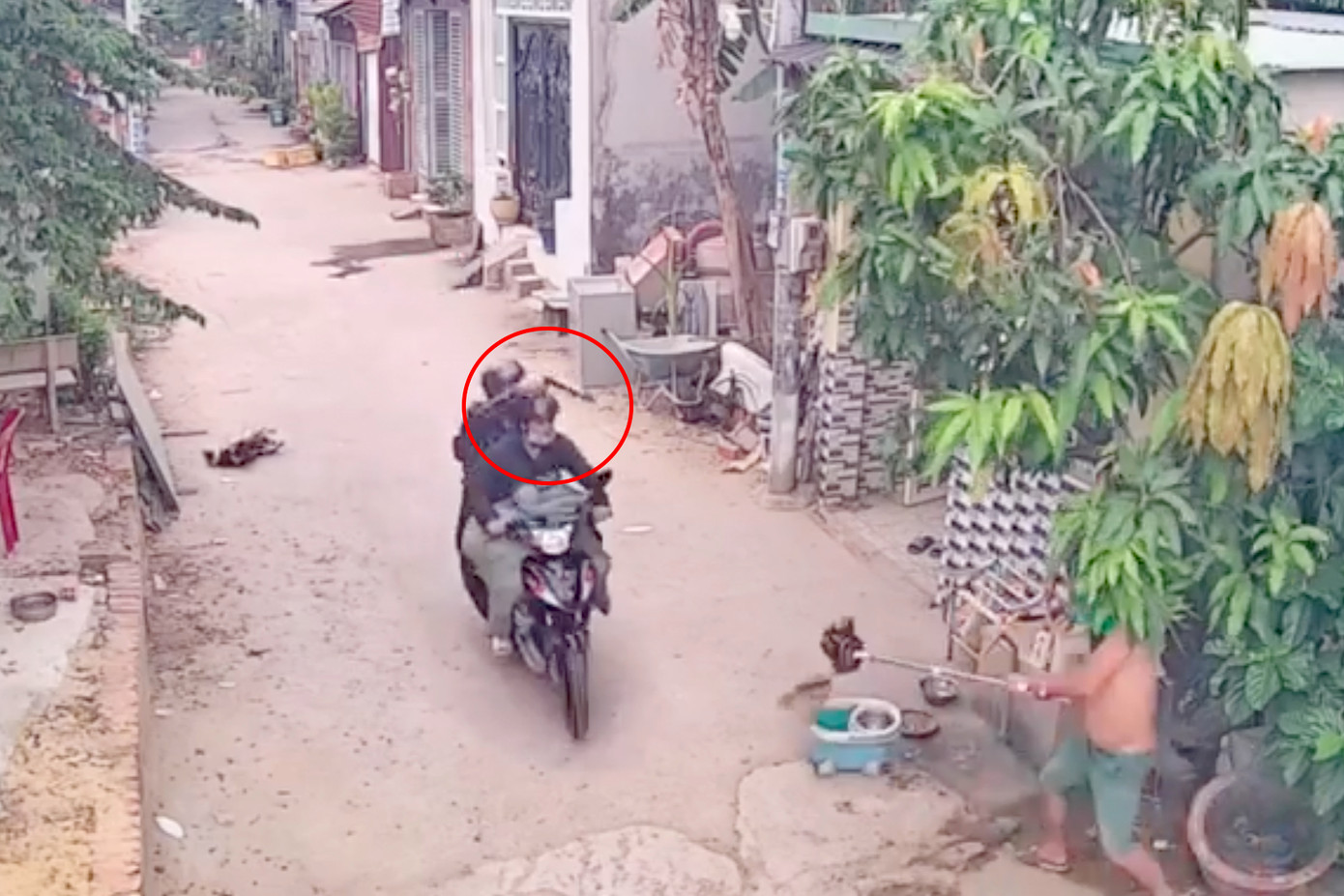 Hai thanh niên trộm chó dùng súng bắn điện tự chế uy hiếp chồng chị D (Ảnh cắt từ clip). Hai thanh niên trộm chó dùng súng bắn điện tự chế uy hiếp chồng chị D (Ảnh cắt từ clip).