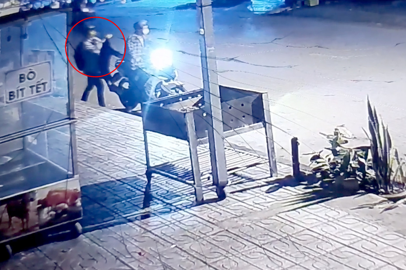 Hai thanh niên trộm con chó của anh M (Ảnh cắt từ clip). Hai thanh niên trộm con chó của anh M (Ảnh cắt từ clip).