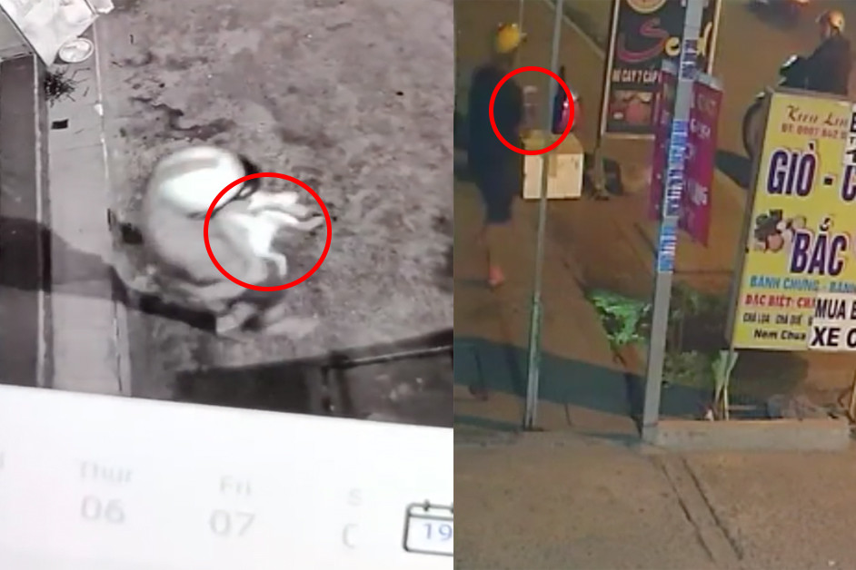 Camera ghi lại cảnh kẻ gian trộm mèo của gia đình chị L (Ảnh cắt từ clip). Camera ghi lại cảnh kẻ gian trộm mèo của gia đình chị L (Ảnh cắt từ clip).