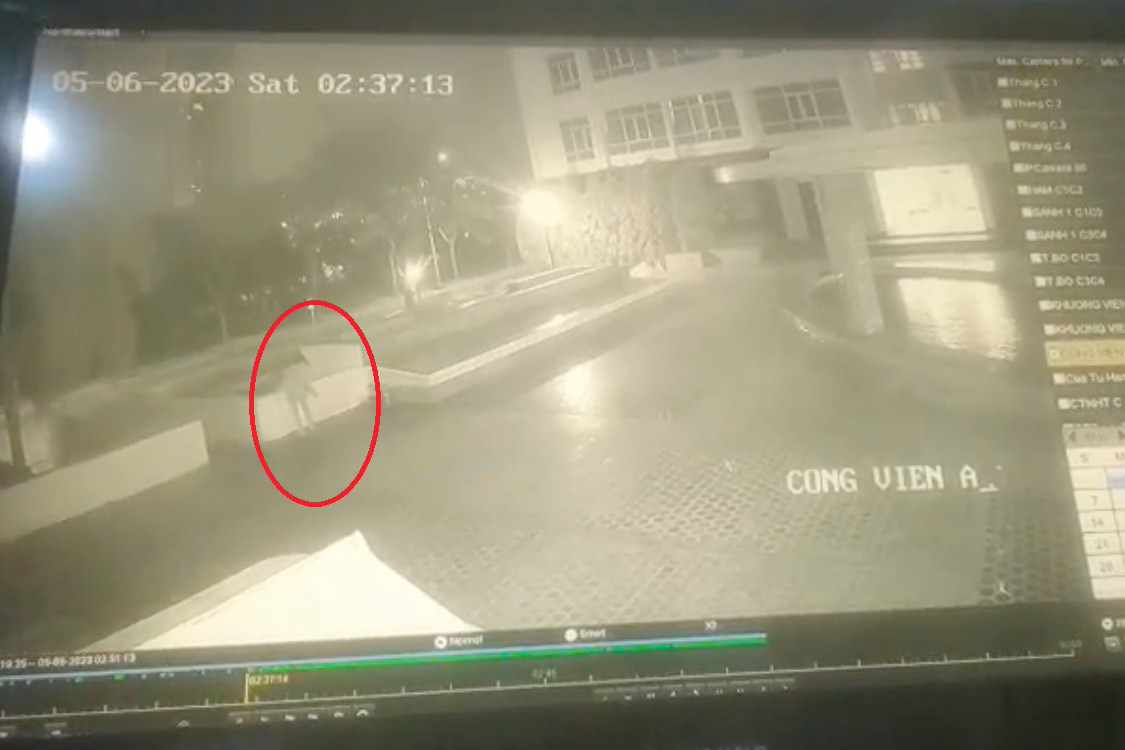 Người phụ nữ đi vào khuôn viên chung cư Phú Hoàng Anh được camera an ninh ghi lại (Ảnh chụp màn hình).