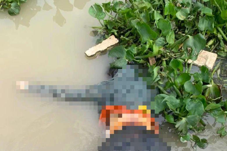 Thi thể người phụ nữ được phát hiện trên sông Rạch Chiếc. Thi thể người phụ nữ được phát hiện trên sông Rạch Chiếc.