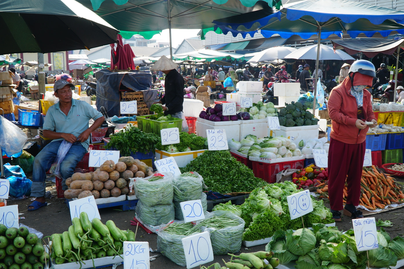 Ban Quản lý Công ty Cổ phần Quản lý và kinh doanh chợ ĐMNS Thủ Đức khẳng định hành vi nhặt rác thải tại chợ rất phản cảm, các loại rau này là hàng hóa bỏ đi, không đảm bảo sức khỏe cho người sử dụng. Do đó, đơn vị sẽ tăng cường kiểm soát và cấm tuyệt đối người dân đến nhặt rác tại chợ này.