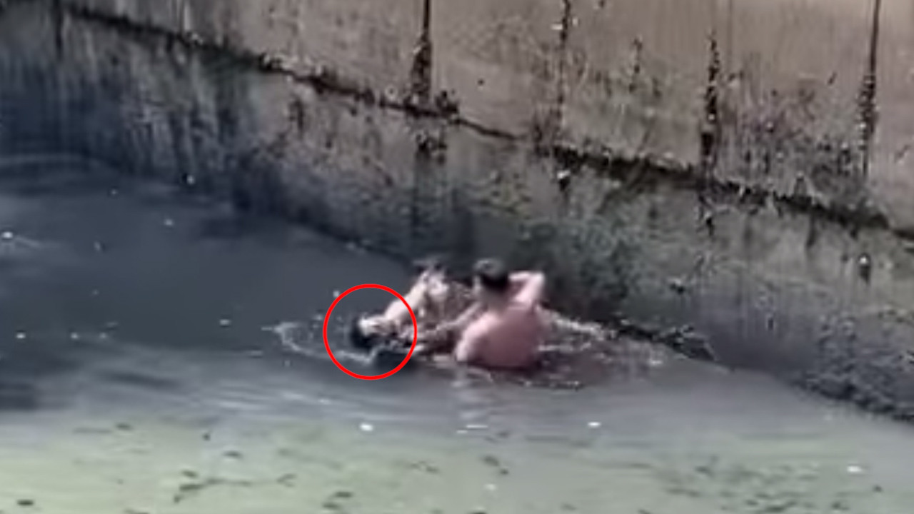 Lực lượng chức năng và người dân đưa ông V (khoanh tròn đỏ) lên bờ. Ảnh cắt từ clip. Lực lượng chức năng và người dân đưa ông V (khoanh tròn đỏ) lên bờ. Ảnh cắt từ clip.