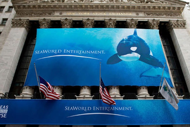 3. SeaWorld Entertainment Giá cổ phiếu của SeaWorld Entertainment, công ty quản lý 11 công viên giải trí và thu hút 24 triệu khách trong năm 2012, đã vọt mạnh 24% trong ngày đầu tiên sau khi chào sàn, từ mức giá 27 USD trong đợt IPO. Tuy nhiên, tới tháng 8, giá cổ phiếu của SeaWorld đã giảm khá mạnh sau khi công ty này hạ giá vé do lượng khách giảm - Ảnh: Stocks