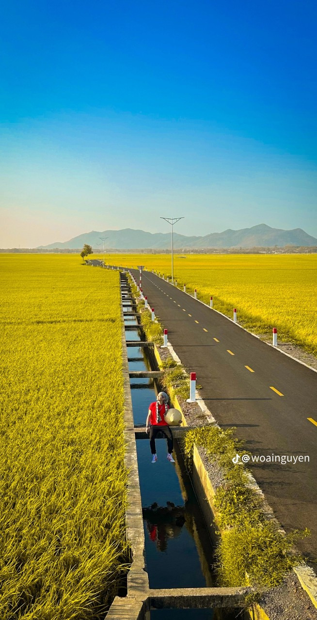 (Ảnh: @woainguyen)