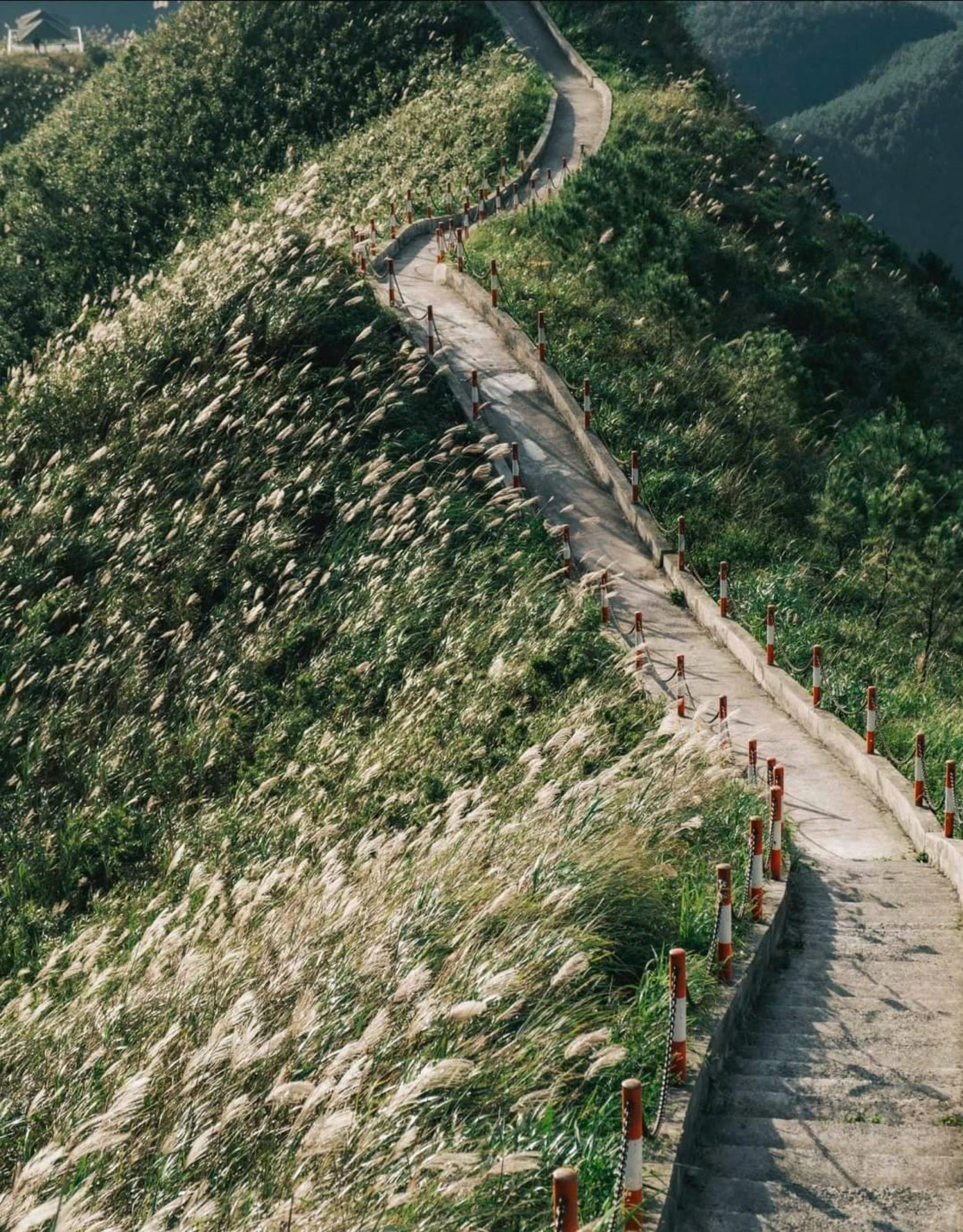 "Sống lưng khủng long" - chiếc view quen thuộc thường xuyên được Gen Z check-in mỗi khi tới Bình Liêu. (Ảnh: Blog của Rọt)