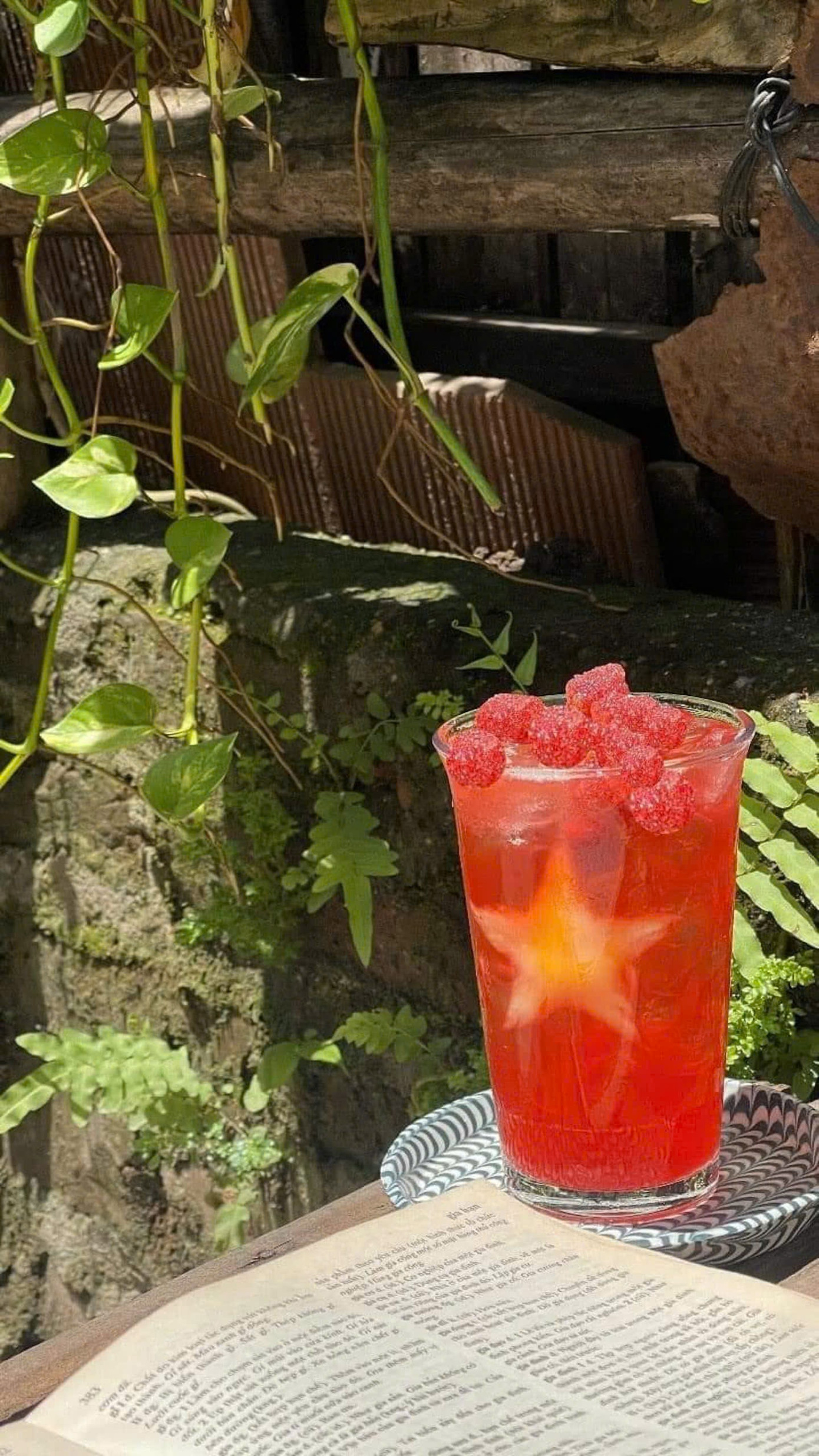 (Ảnh: Internet) (Ảnh: Internet)