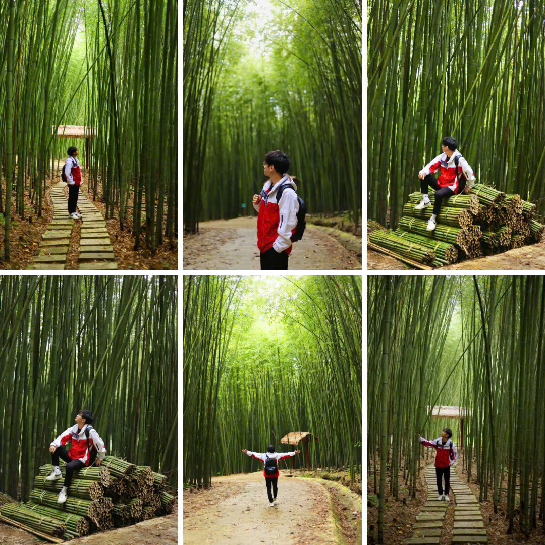 Nếu đã lỡ mê mẩn cảm giác được hòa mình với thiên nhiên thì rừng trúc Nguyên Bình là địa điểm bạn nên cân nhắc ghé thăm hè này. (Ảnh: Hoàng Hiếu)