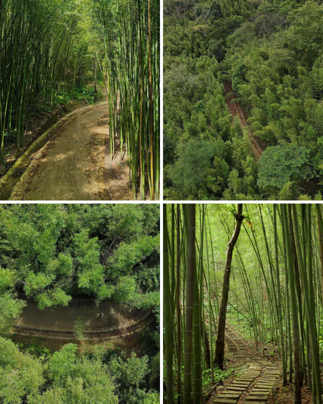 "Tọa độ" xanh thu hút nhiều netizen mê thiên nhiên ghé đến. (Ảnh: Hoàng Hiếu)