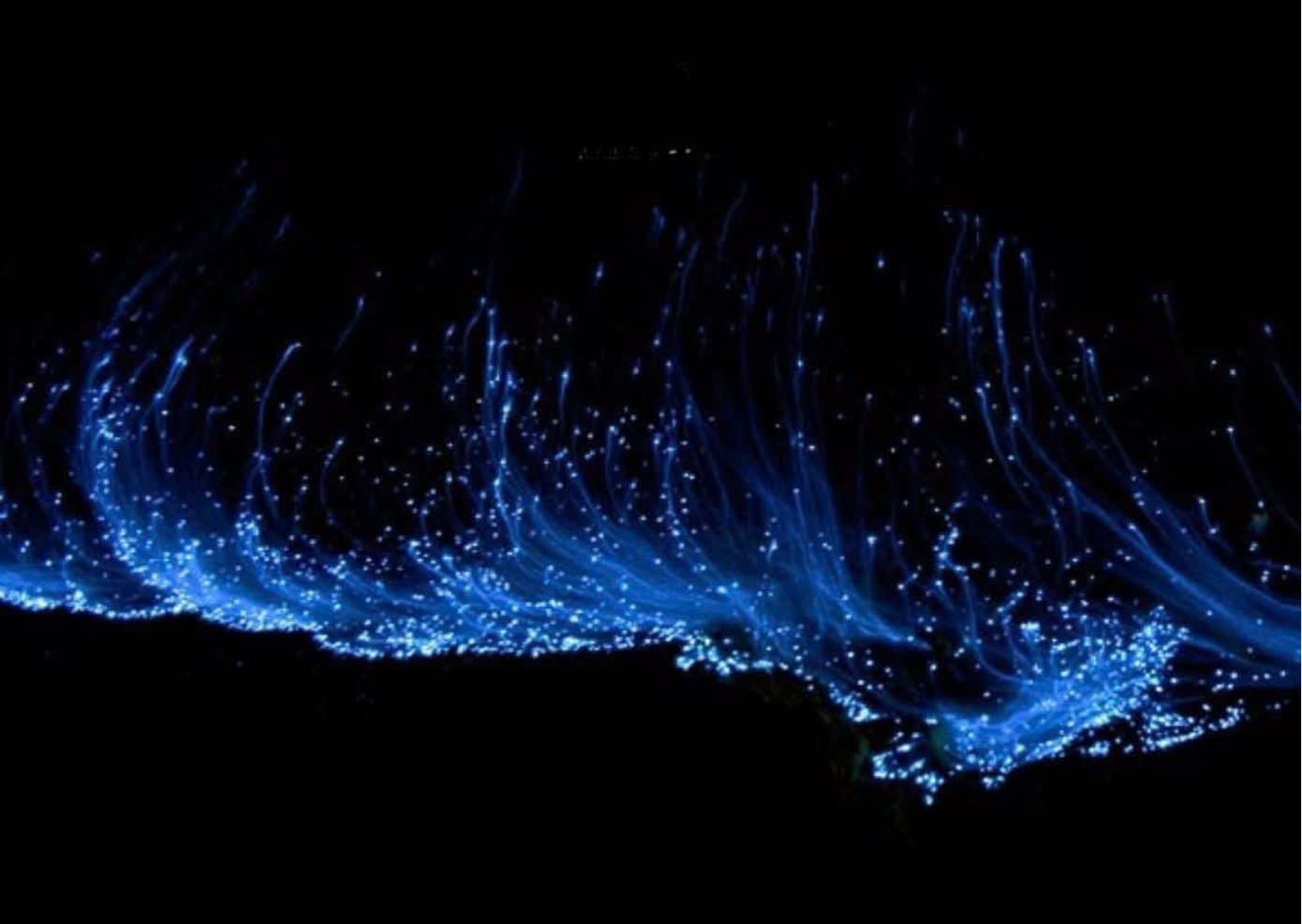 Khung cảnh lung linh, diệu kỳ như bầu trời sao đang trôi dưới mặt nước. (Ảnh: FB Hải Phòng)