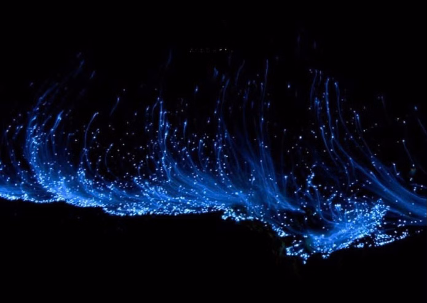 Khung cảnh lung linh, diệu kỳ như bầu trời sao đang trôi dưới mặt nước. (Ảnh: FB Hải Phòng)