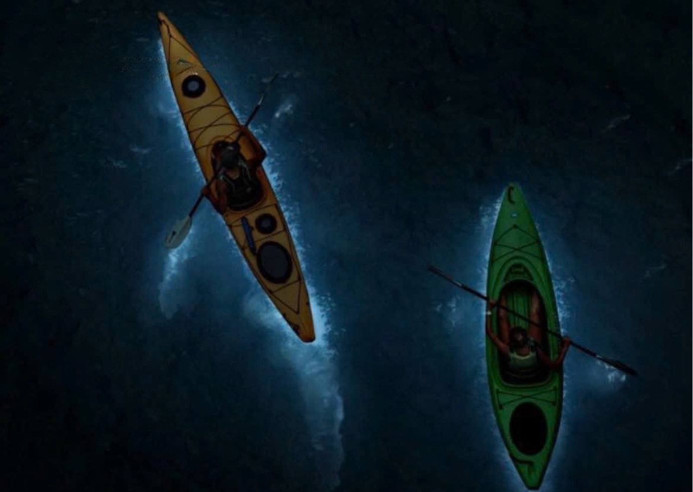 (Ảnh: FB Hải Phòng của tôi)