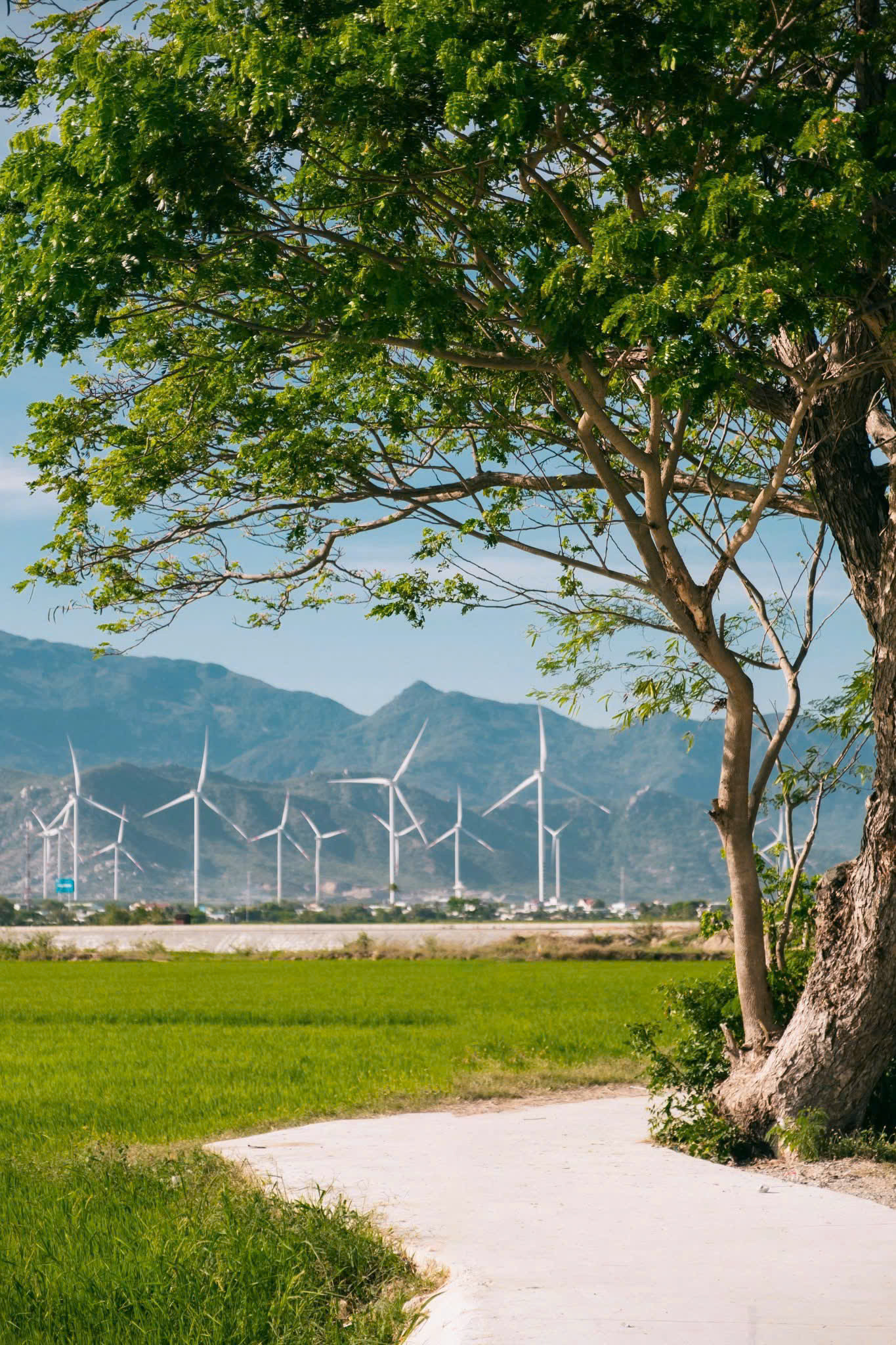(Ảnh: Nguyễn Trung Đam)