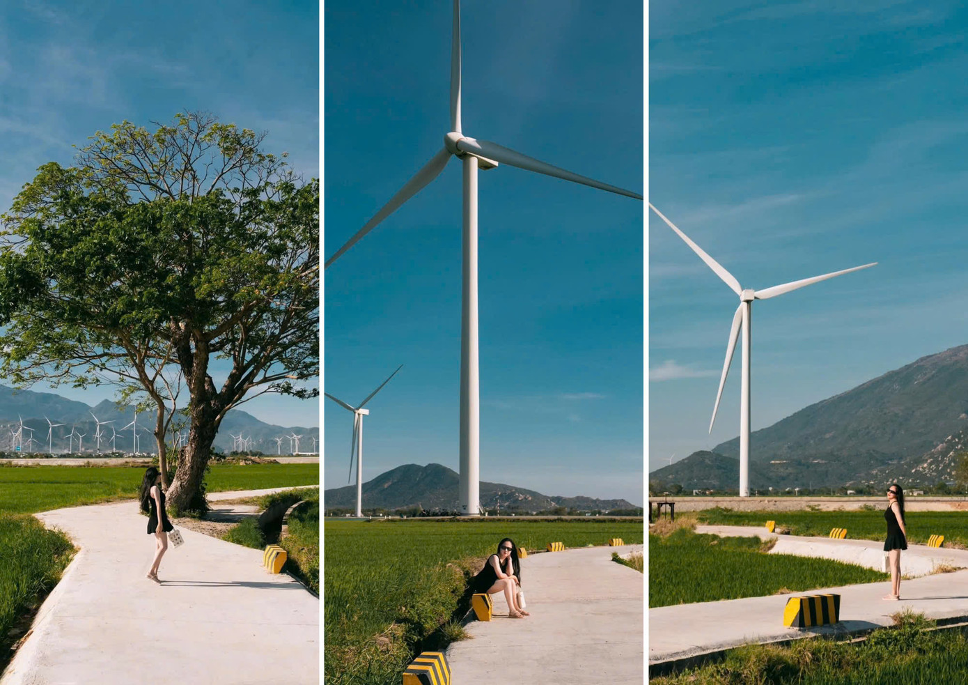 Cô bạn &quot;thả dáng&quot; tại cánh đồng điện gió. (Ảnh: Thảo Nhiên)