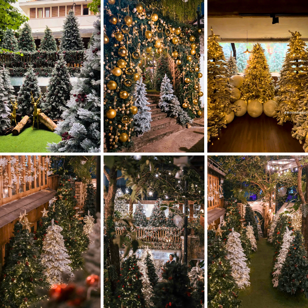 Không gian trong và ngoài quán đều được trang trí vô cùng rực rỡ. (Ảnh: didaubaygio2024/ Sori Garden)