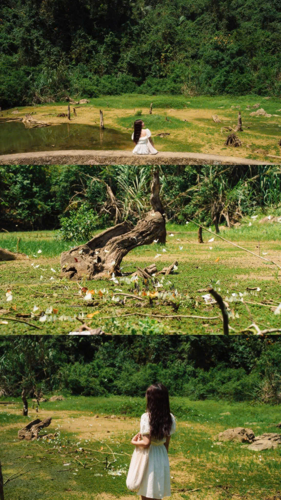 Cô bạn hóa nàng thơ cùng mùa bướm tại Vườn Quốc gia Cát Phương. (Ảnh: Thiều Vân)