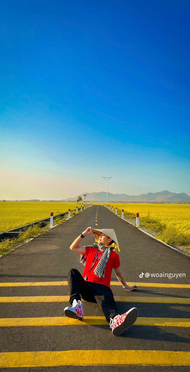 Theo chân các netizen, check-in ngay cánh đồng mùa lúa chín. (Ảnh: @woainguyen)