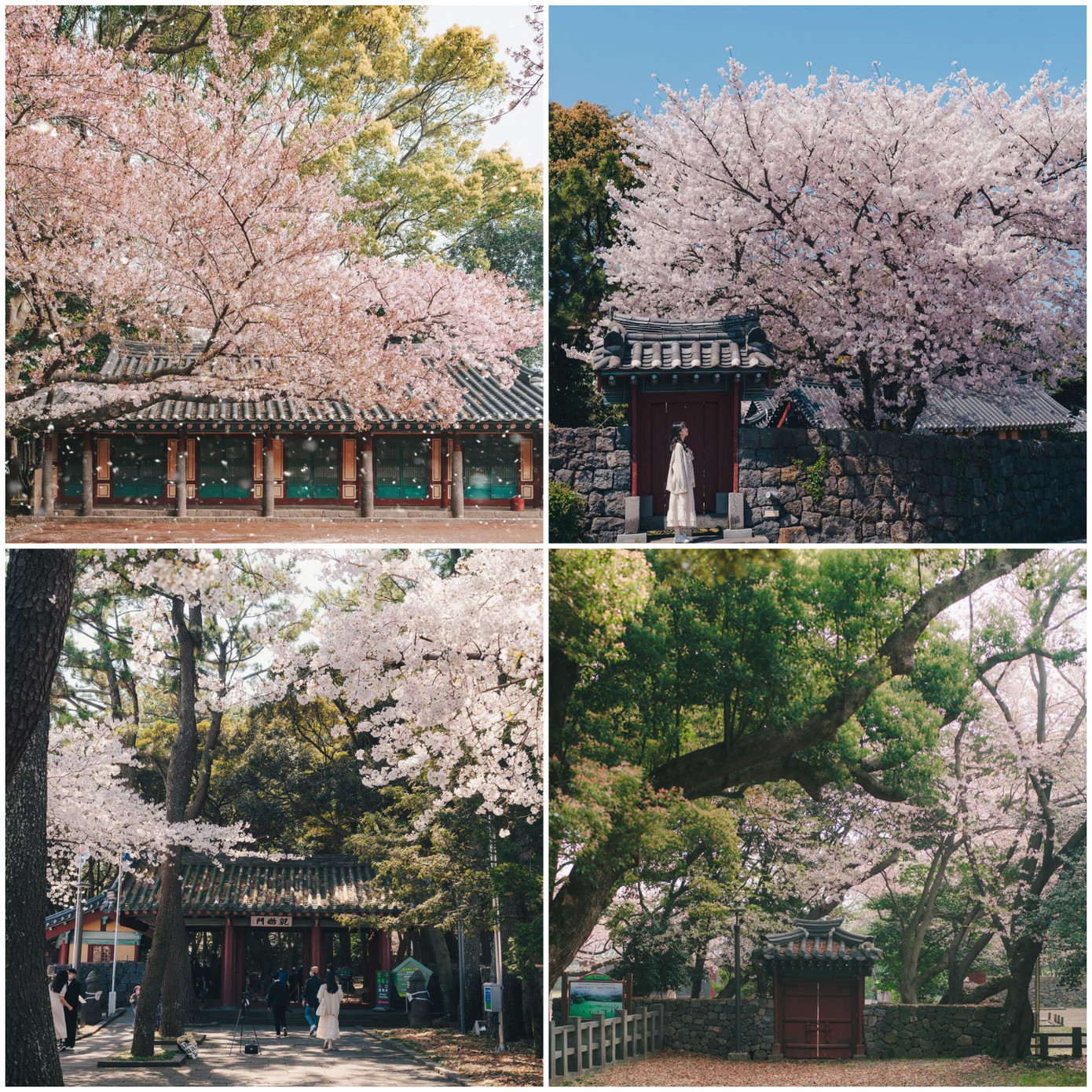 (Ảnh: @b_taeng) (Ảnh: @b_taeng)