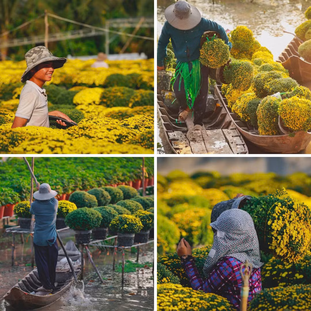 Người nông dân làm việc tại vườn hoa. (Ảnh: Vinh Gấu)