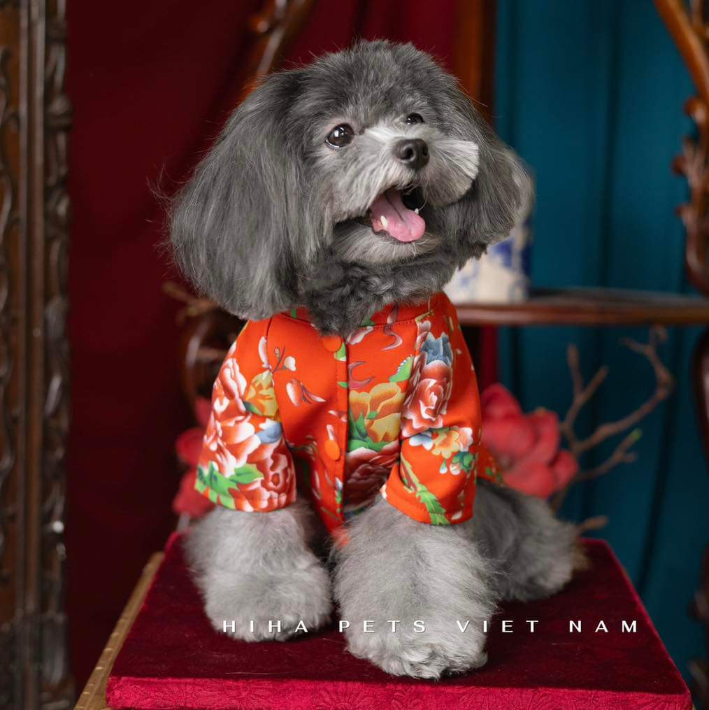 (Ảnh: HiHa Pets) (Ảnh: HiHa Pets)