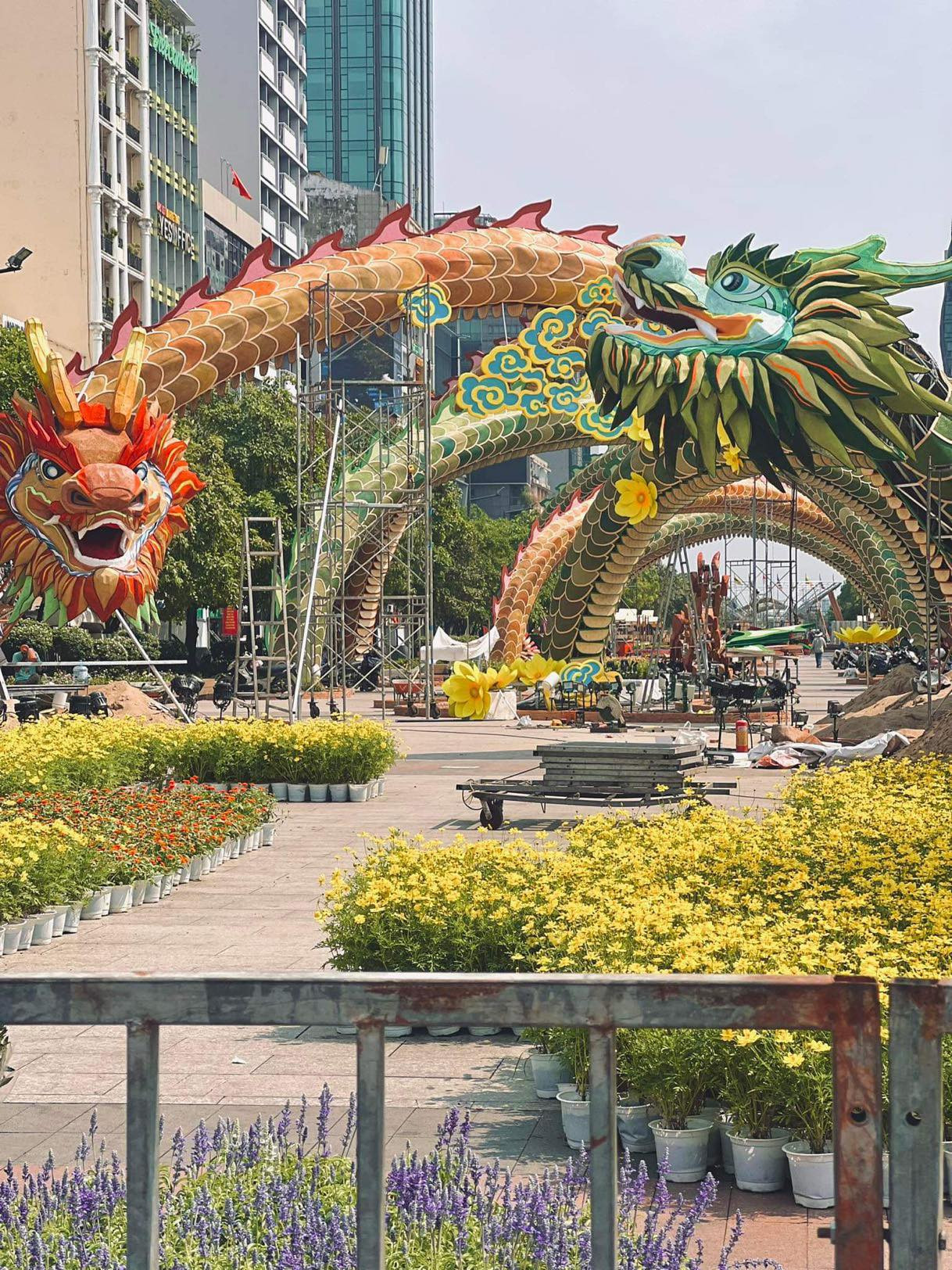 Song long tại đường hoa Nguyễn Huệ. (Ảnh: Vi Hoàng Thanh)