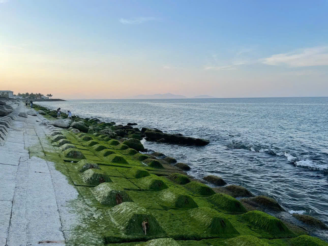 Phong cảnh hữu tình tại kè biển Hội An. (Ảnh: tuilabacham)