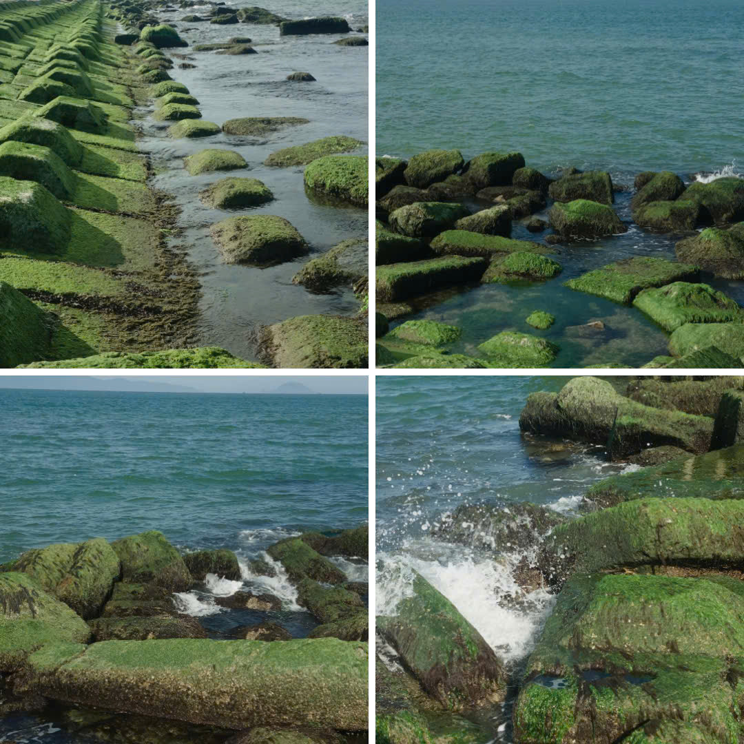 "Tọa độ" lý tưởng để "chữa lành", hòa mình vào thiên nhiên cho các Gen Z. (Ảnh: alfa.v_)