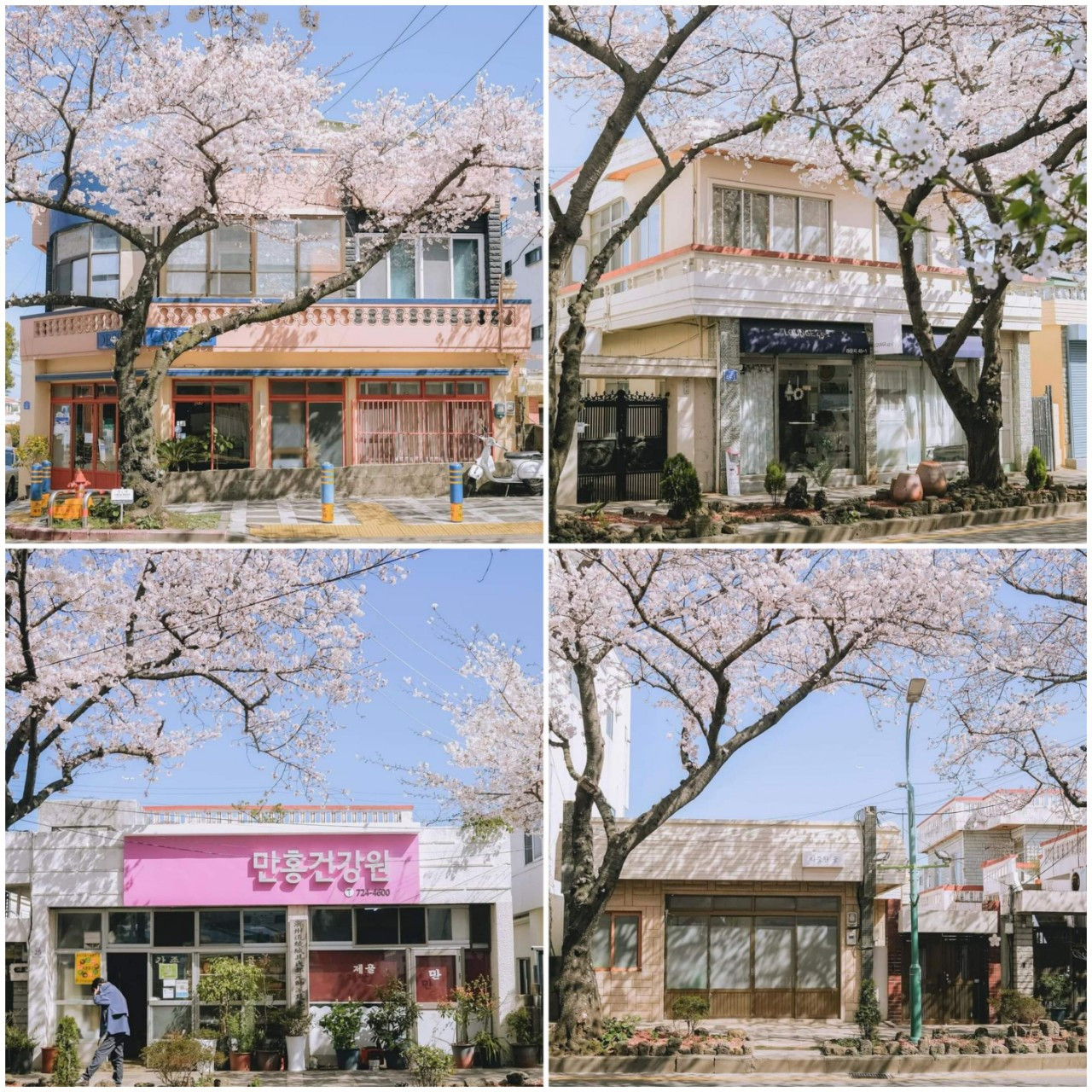 (Ảnh: @nohpic) (Ảnh: @nohpic)