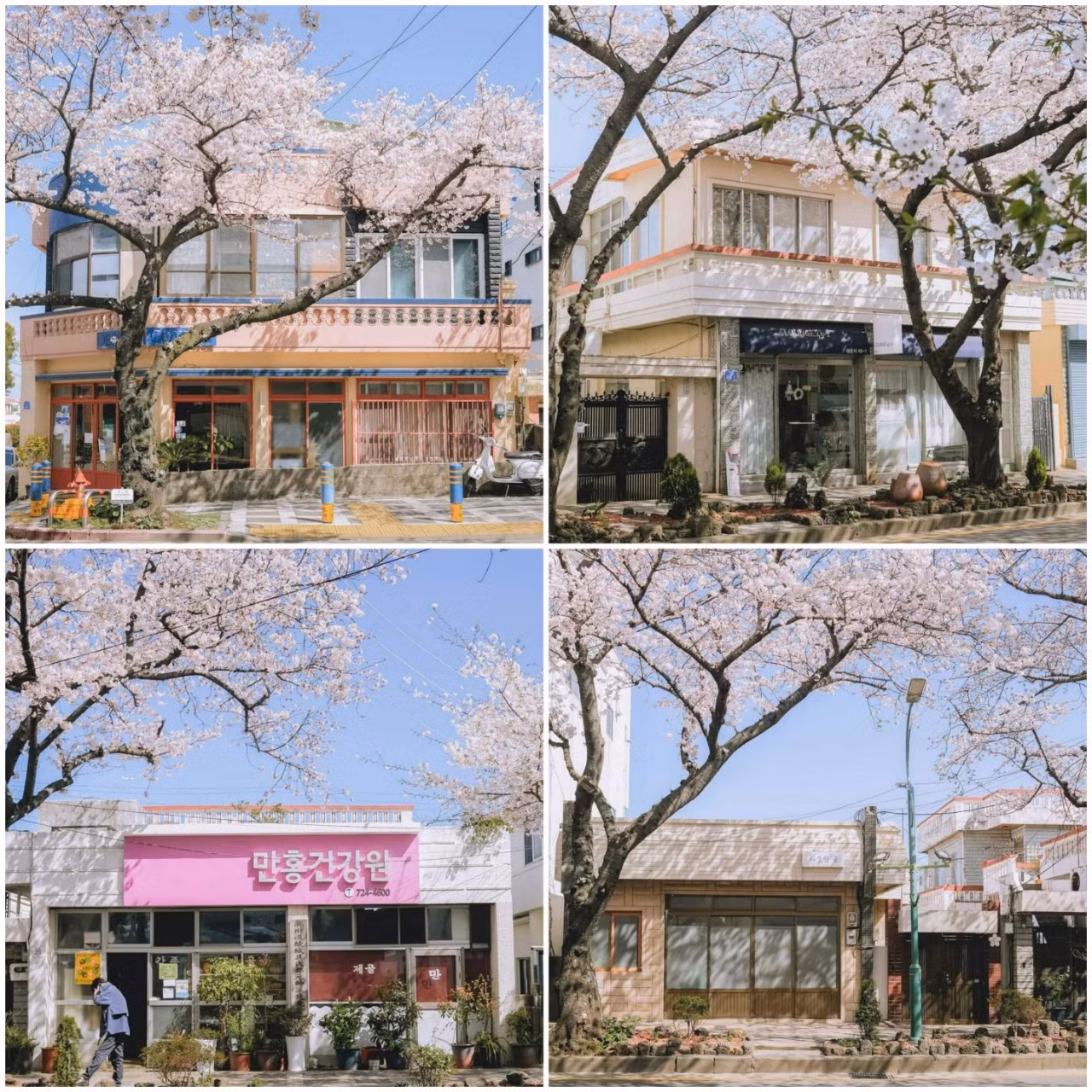 (Ảnh: @nohpic)