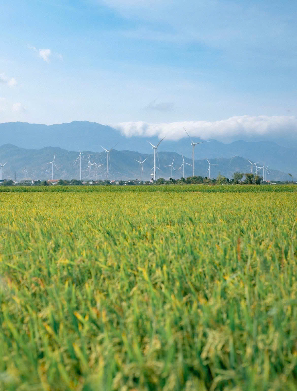 Khung cảnh đẹp như tranh khiến du khách không khỏi trầm trồ, mê đắm. (Ảnh: Blog của Rọt)