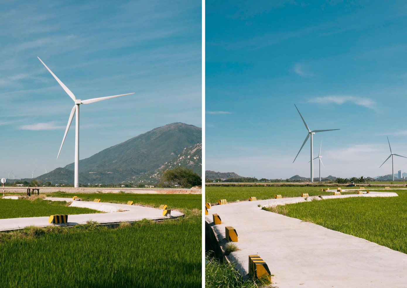 Con đường quen thuộc mà không netizen nào được bỏ lỡ khi đến chụp ảnh tại cánh đồng điện gió Đầm Nại. (Ảnh: Nguyễn Trung Đam)