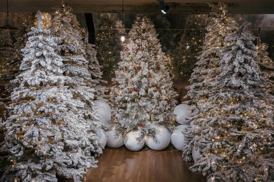 (Ảnh: Sori Garden)