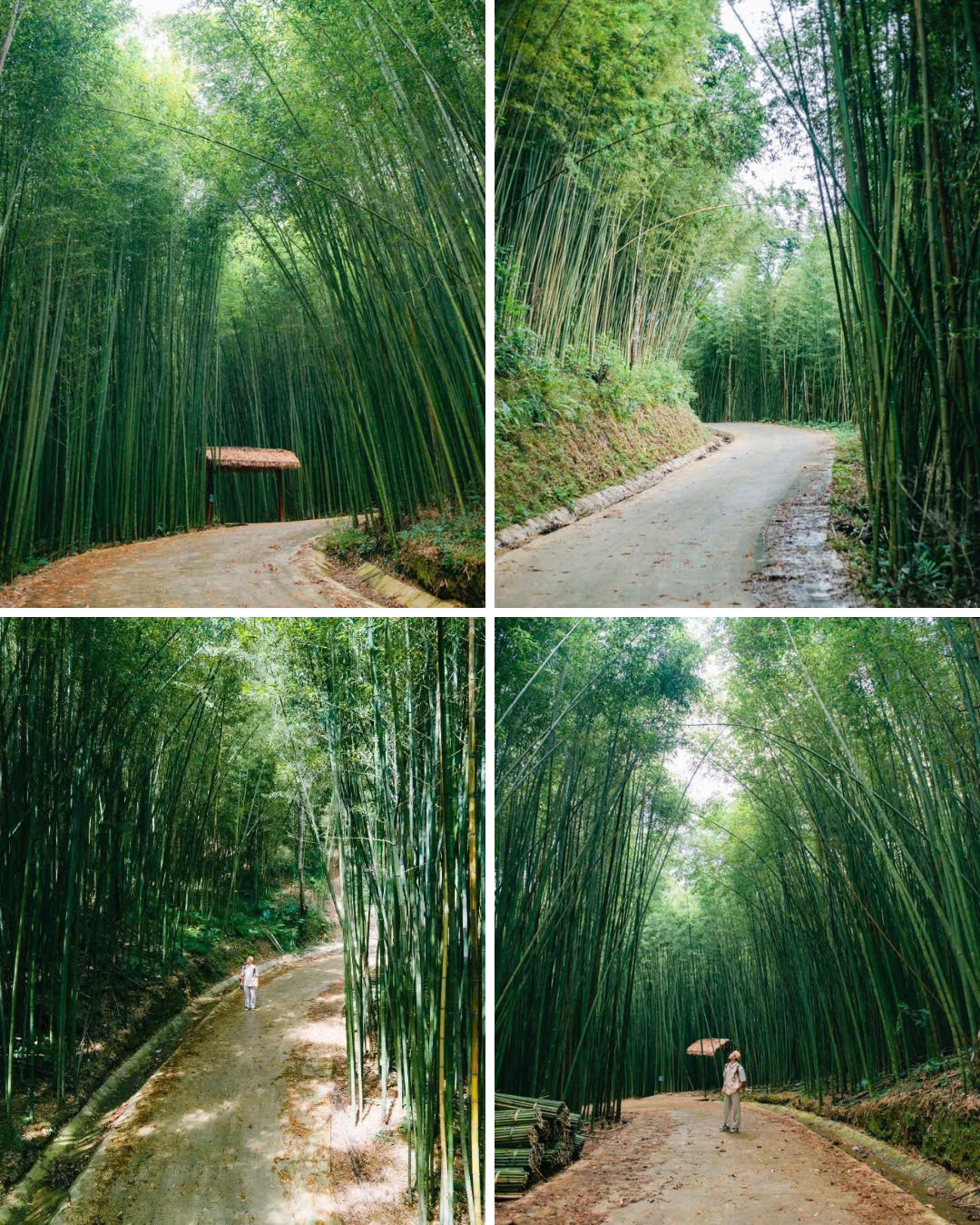 (Ảnh: Blog Của Rọt)