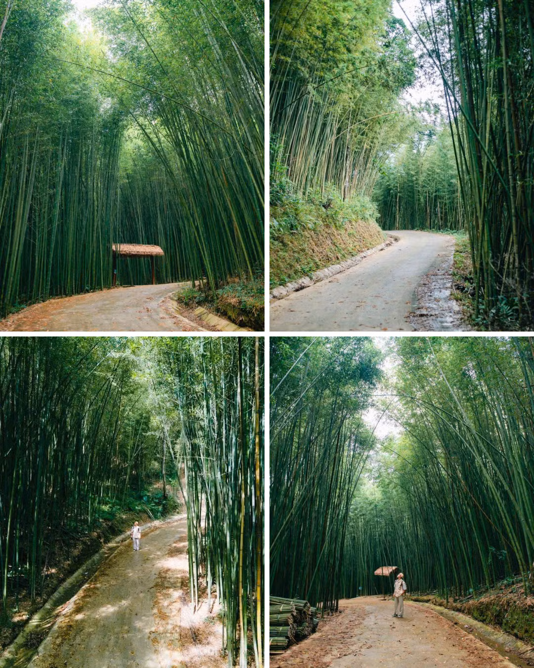 (Ảnh: Blog Của Rọt)