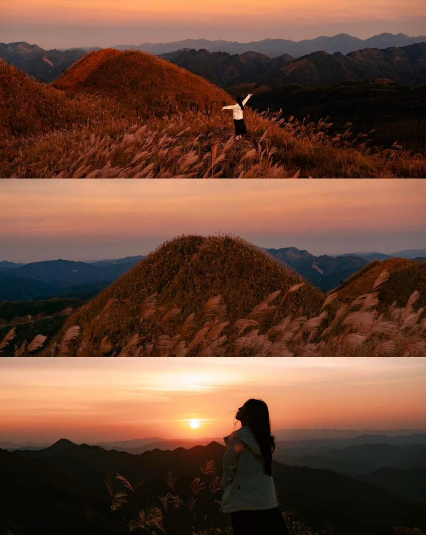 Địa điểm được đánh giá "chất lượng" không kém cạnh "sống lưng khủng long" cho các netizen tha hồ chụp ảnh. (Ảnh: Blog của Rọt)