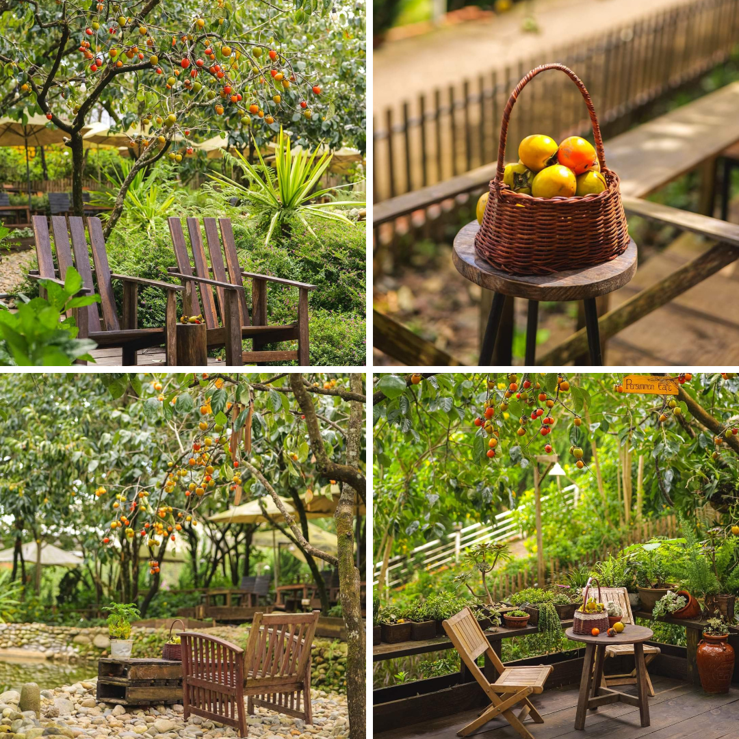 Background "chất lượng" thế này thì chỉ cần giơ máy lên đã có ngay ảnh xinh mang về. (Ảnh: Persiommon Cafe)