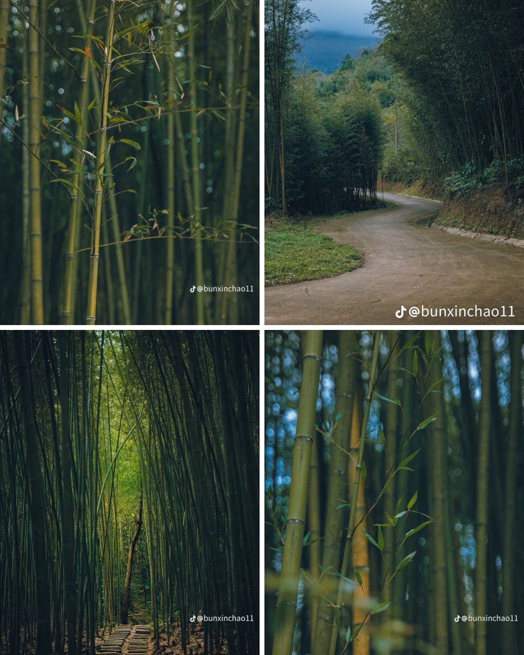 (Ảnh: @bunxinchao11)