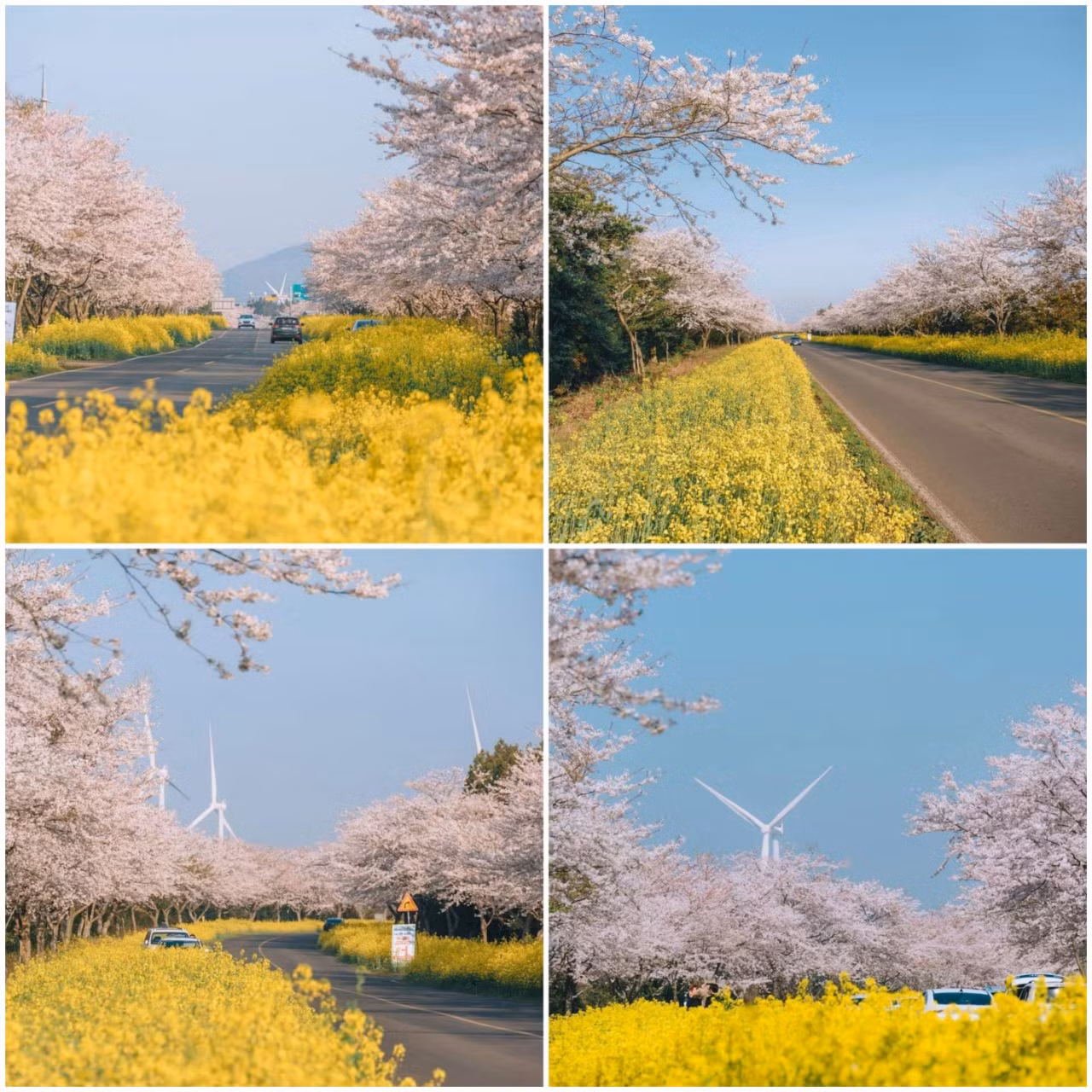 Chiếc view "gây thương nhớ" những ngày qua. (Ảnh: @bab_o_foto)