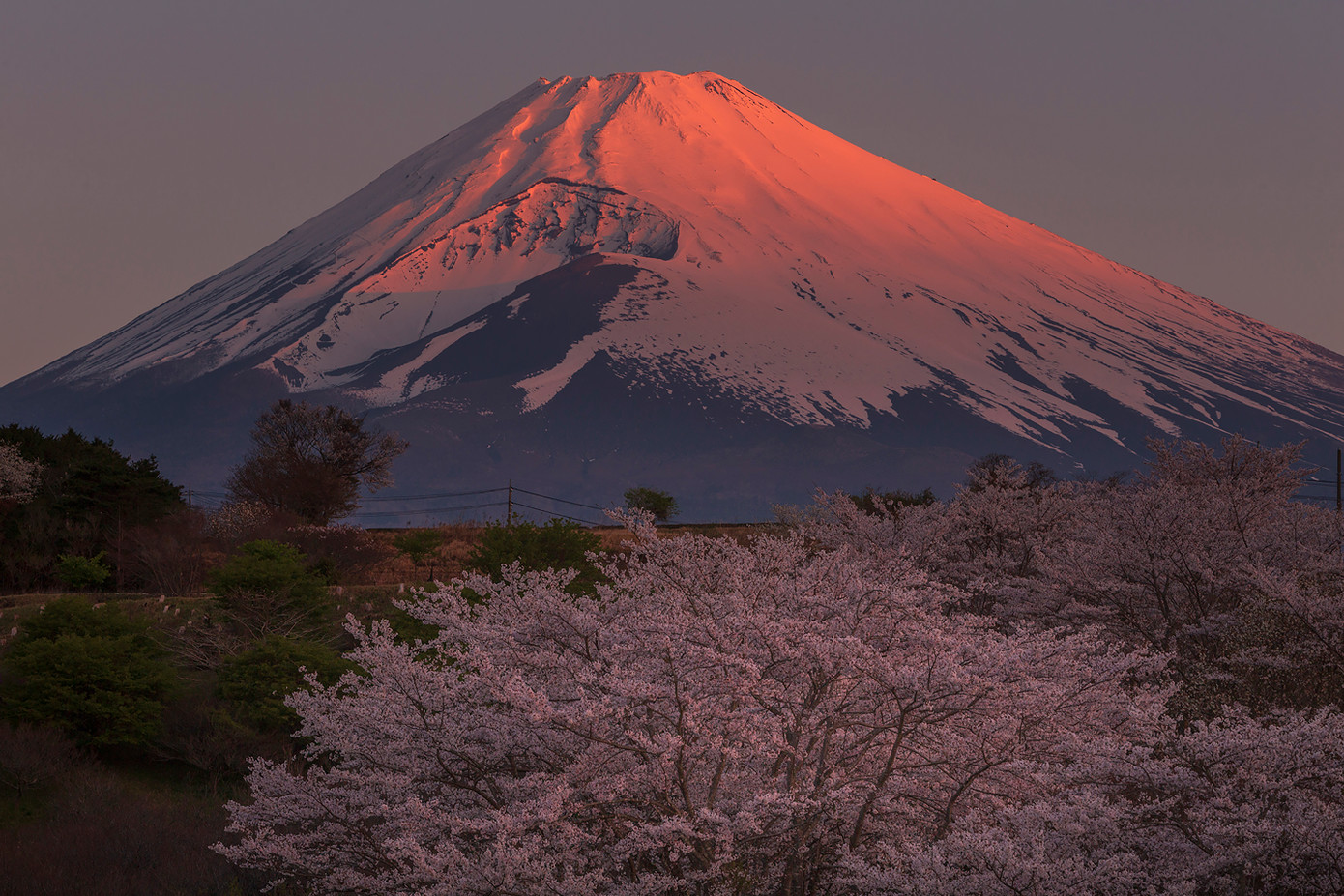 Ảnh đạt giải Tác phẩm xuất sắc do HHDL Tỉnh Shizuoka và Nhà đài NHK shizuoka tổ chức (Lần thứ 3 liên tiếp). Ảnh đạt giải Tác phẩm xuất sắc do HHDL Tỉnh Shizuoka và Nhà đài NHK shizuoka tổ chức (Lần thứ 3 liên tiếp).