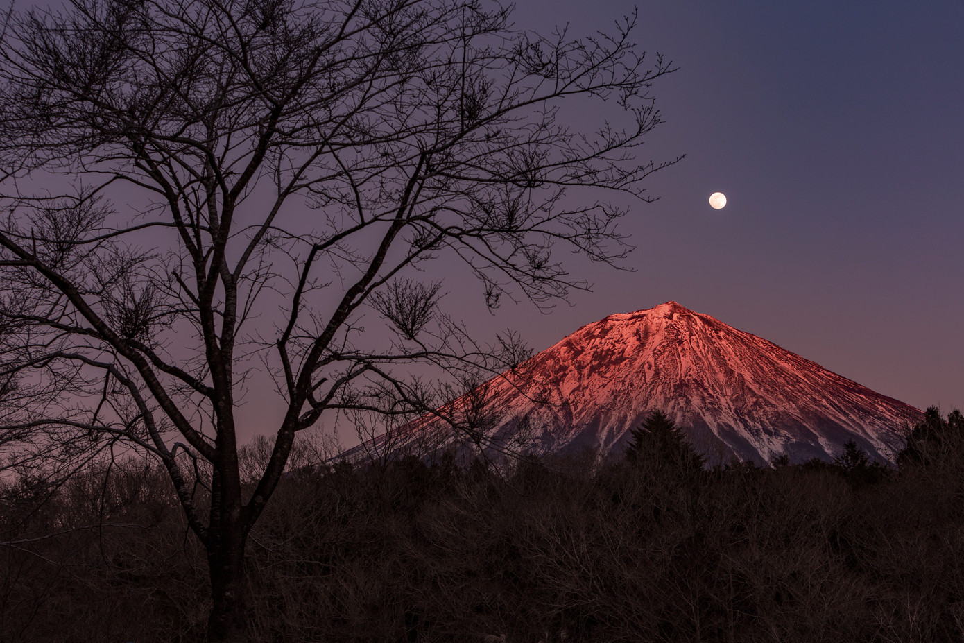 Ảnh đạt giải Tác phẩm xuất sắc do HHDL Tỉnh Shizuoka và Nhà đài NHK shizuoka tổ chức (Lần thứ 2 liên tiếp). Ảnh đạt giải Tác phẩm xuất sắc do HHDL Tỉnh Shizuoka và Nhà đài NHK shizuoka tổ chức (Lần thứ 2 liên tiếp).
