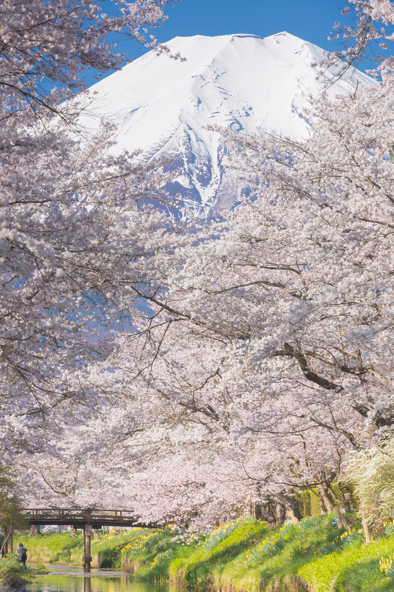 Ảnh đạt giải Tác phẩm xuất sắc cuộc thi ảnh do tạp chí Du lịch tổ chức. Ảnh đạt giải Tác phẩm xuất sắc cuộc thi ảnh do tạp chí Du lịch tổ chức.