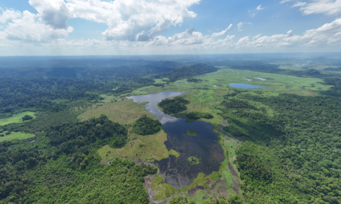 Vườn quốc gia Cát Tiên.(Ảnh: USAID Biodiversity Conservation - VFBC/ WWF - Việt Nam) Vườn quốc gia Cát Tiên.(Ảnh: USAID Biodiversity Conservation - VFBC/ WWF - Việt Nam)