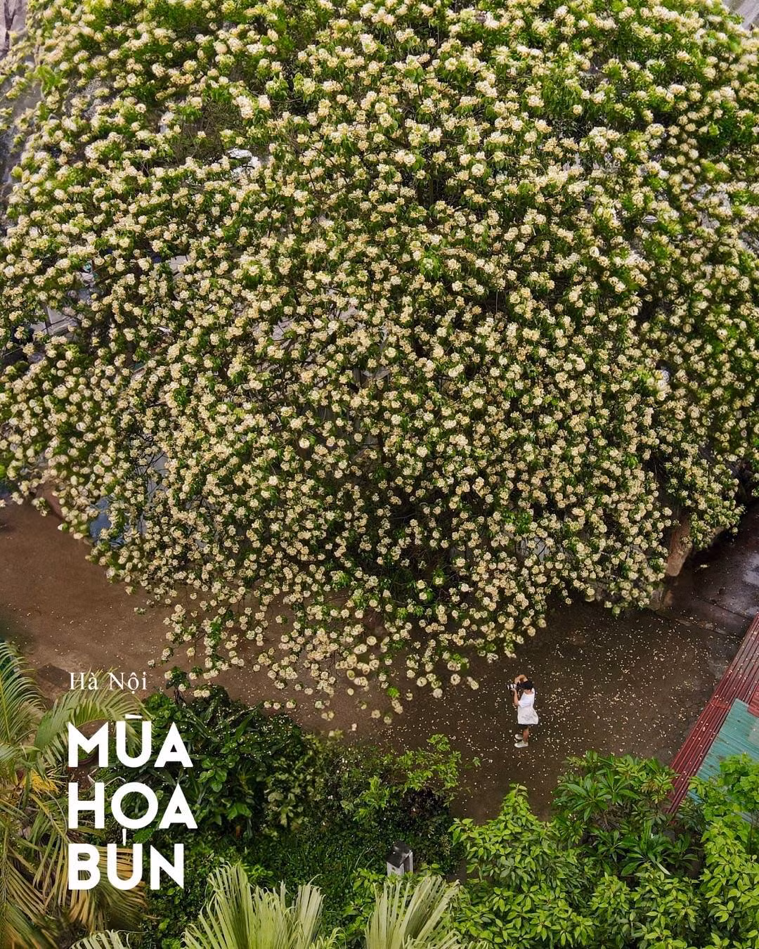 (Ảnh: Nguyễn Hoàn Hảo)