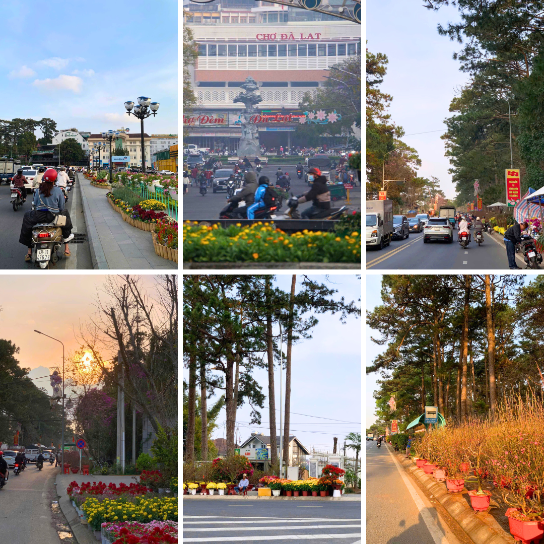 Đà Lạt đón Tết với tiết trời se lạnh dễ chịu. (Ảnh: Ghiền Đà Lạt)