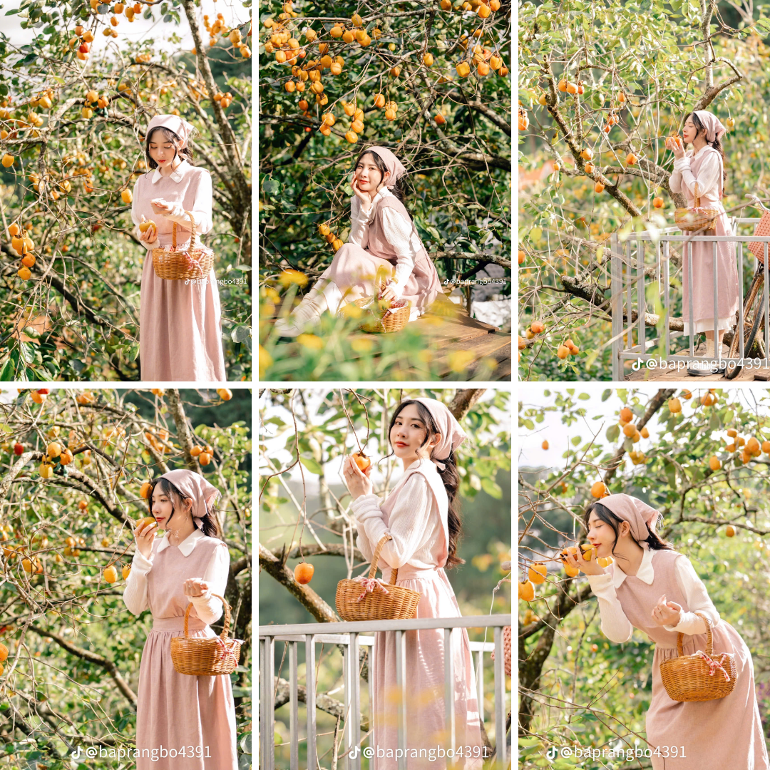 Hồng chín với sắc cam cháy rực rỡ làm say đắm trái tim. (Ảnh: @baprangbo4391)